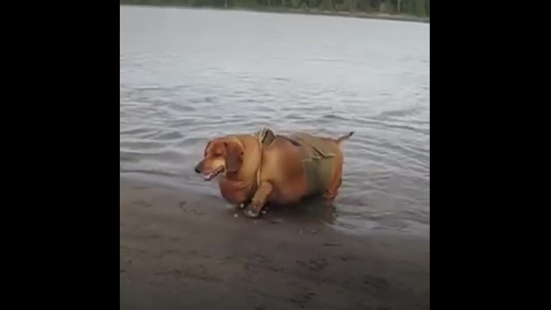 1593747534654.mp4