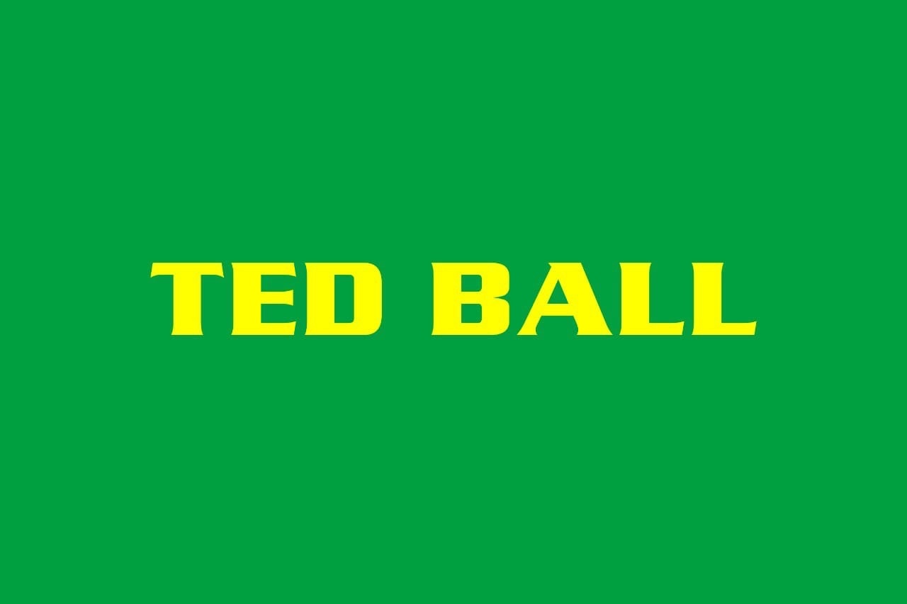 Афиша Уфа TED BALL