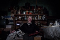 семья живет в подвале