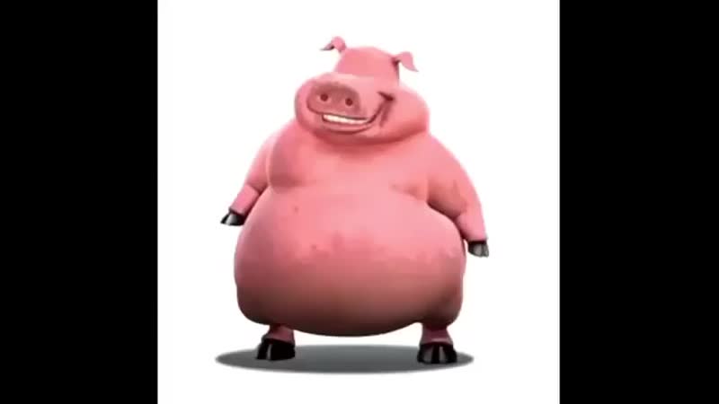 Pige