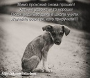 Докажи, что ты человек