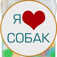 Я ❤ собак