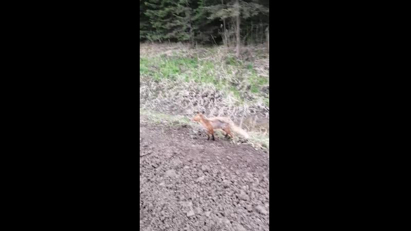VID_20200524_214756.mp4