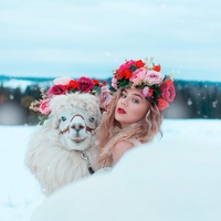 Фотография профиля Кати Адушкиной ВКонтакте