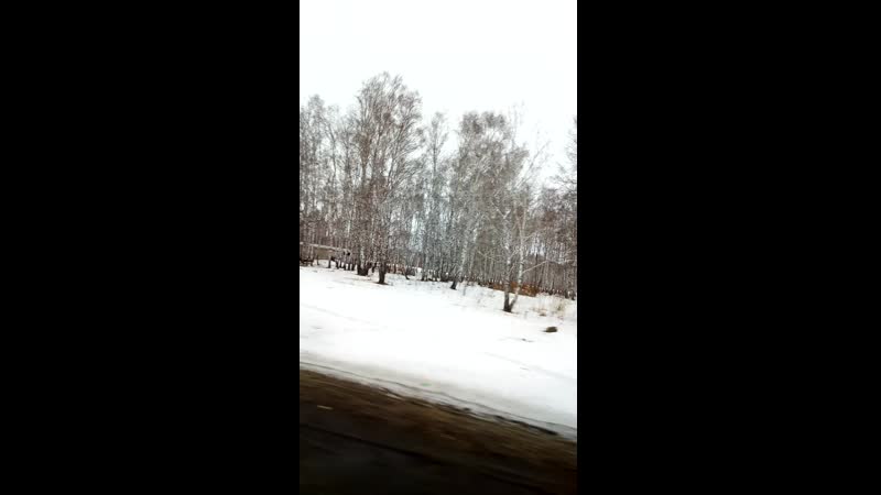 VID_20200317_074338.3gp